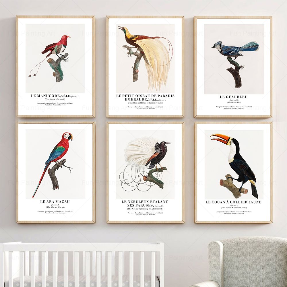 Furniture Paradise & Hardware Ghaziabad - Vintage Paradise Bird Wall Art ภาพวาดผ้าใบพิพิธภัณฑ์นอร์ดิกโปสเตอร์และพิมพ์สุนทรียศาสตร์ภาพสําหรับห้องนั่งเล่นตกแต่งบ้าน