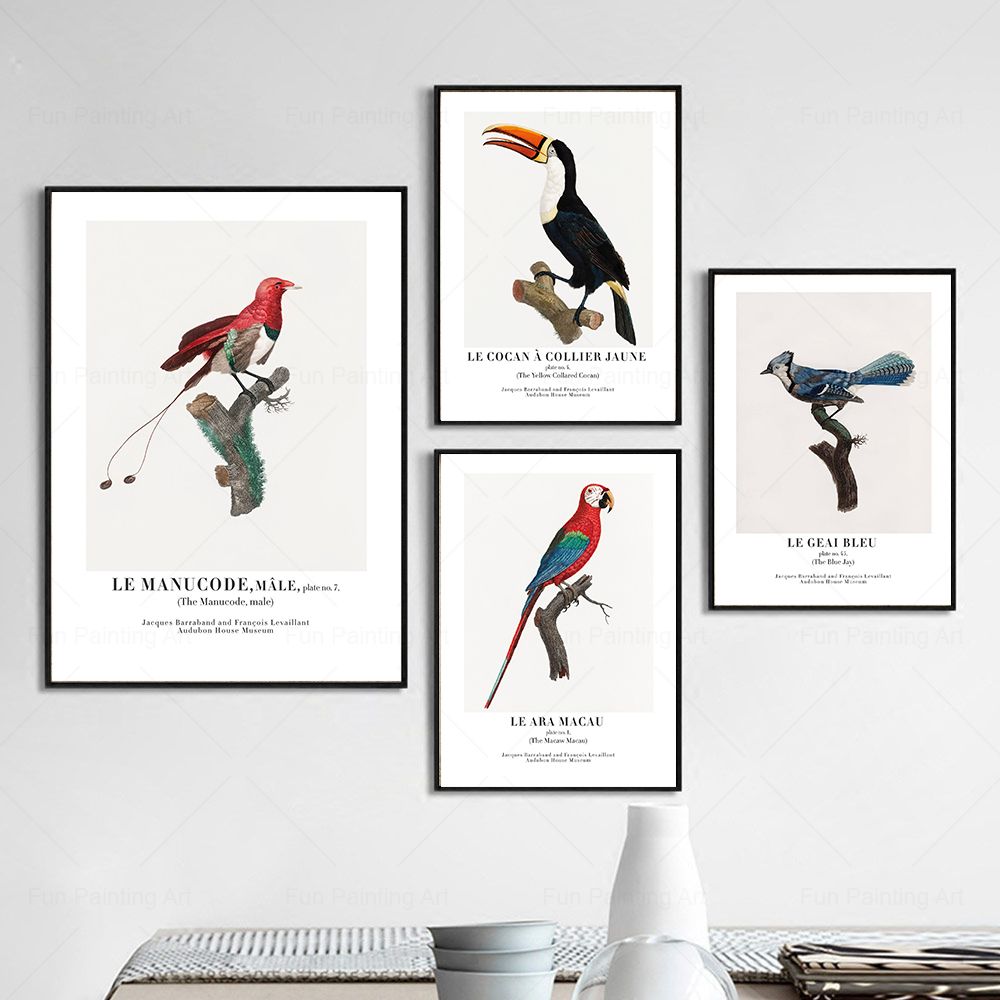 Vintage Paradise Bird Wall Art - Furniture Paradise & Hardware Ghaziabad บทวิจารณ์และราคา