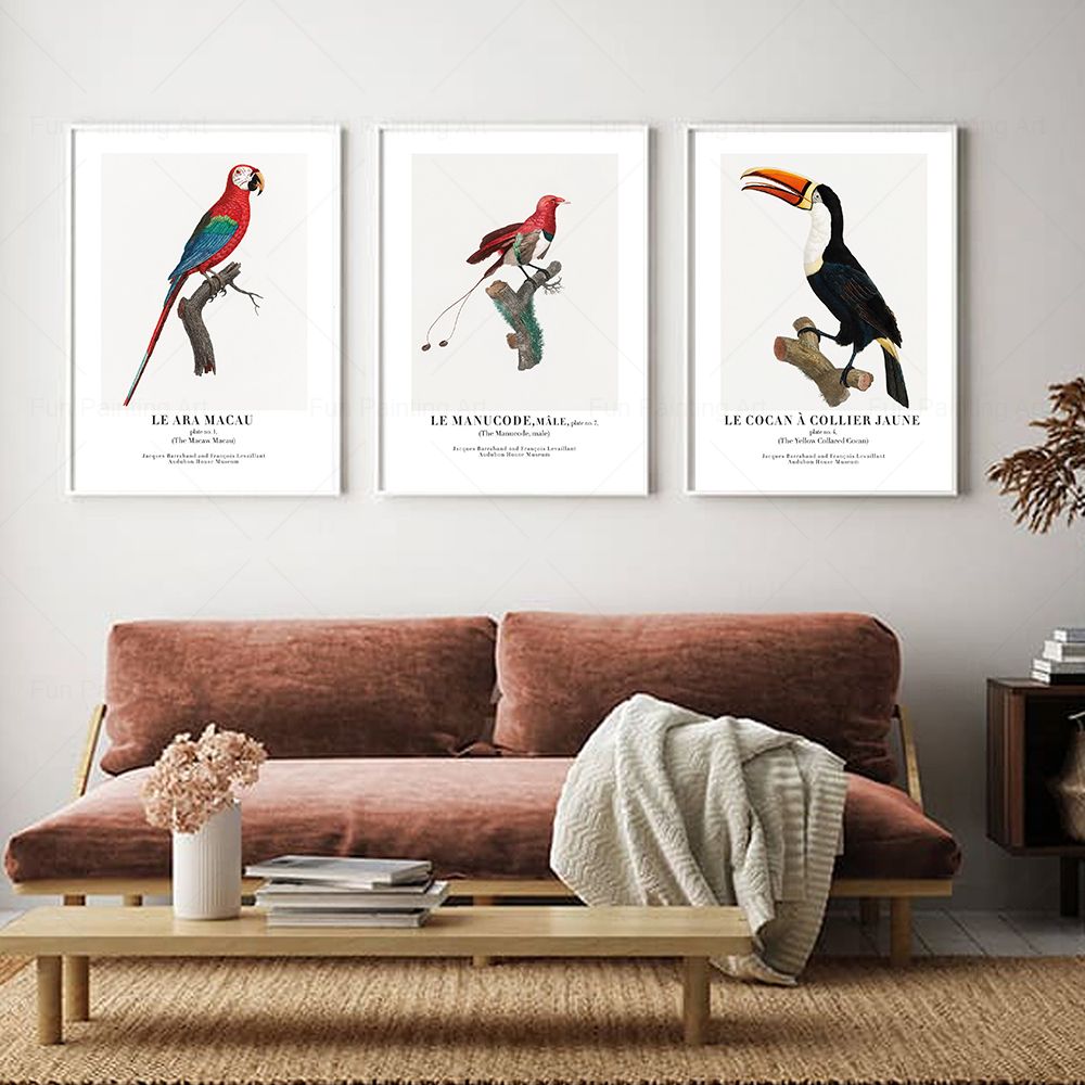 Vintage Paradise Bird Wall Art - Furniture Paradise & Hardware Ghaziabad บทวิจารณ์และราคา