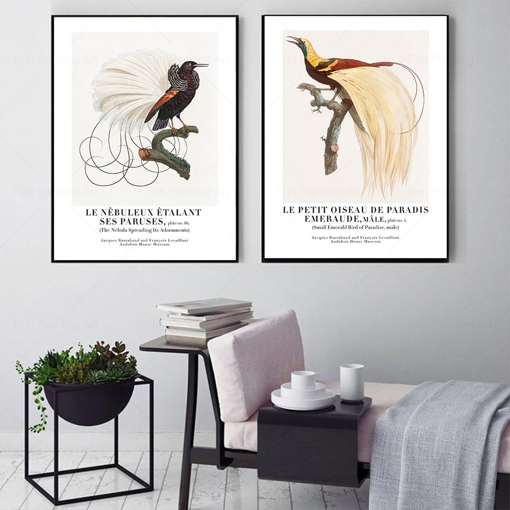 Vintage Paradise Bird Wall Art - Furniture Paradise & Hardware Ghaziabad บทวิจารณ์และราคา
