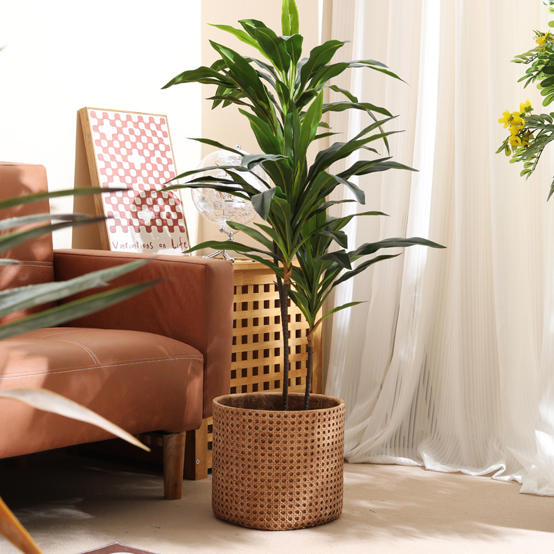 เฟอร์นิเจอร์สำหรับอพาร์ทเมนต์ข - Furniture Paradise & Hardware Ghaziabad บทวิจารณ์และราคา